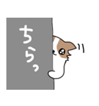 犬が猫か分からないスタンプ（個別スタンプ：15）