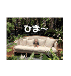 はるちゃんはるはるスタンプ（個別スタンプ：2）