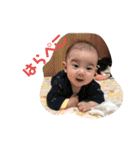 はるちゃんはるはるスタンプ（個別スタンプ：25）