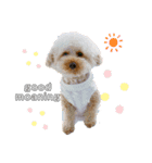はちこ2020（個別スタンプ：3）