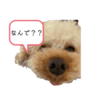 はちこ2020（個別スタンプ：4）
