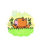 カピバラちゃんは乙女です。（個別スタンプ：11）