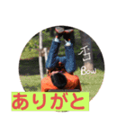 福田だよー全員集合！！（個別スタンプ：5）