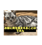 指名手配ルー（個別スタンプ：3）