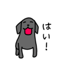 黒ラブ・毎日ばすちゃん（個別スタンプ：2）