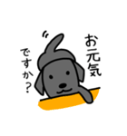 黒ラブ・毎日ばすちゃん（個別スタンプ：18）