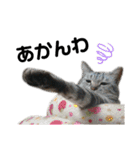 猫がいちばん（個別スタンプ：10）