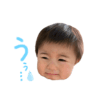 かいとくんスタンプ②（個別スタンプ：8）