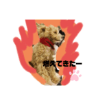 我が家のまろくんだ（個別スタンプ：5）