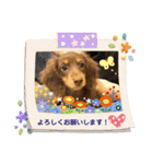 GO！！ GO！！ ココナさん！（個別スタンプ：8）