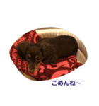 GO！！ GO！！ ココナさん！（個別スタンプ：19）