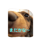GO！！ GO！！ ココナさん！（個別スタンプ：29）