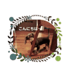 GO！！ GO！！ ココナさん！（個別スタンプ：32）