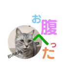 うちのレオンくん②（個別スタンプ：18）