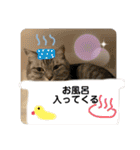 うちのレオンくん②（個別スタンプ：23）