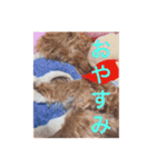 犬の気持ち(？)（個別スタンプ：4）