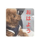 犬の気持ち(？)（個別スタンプ：7）