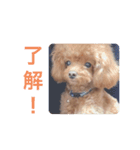 犬の気持ち(？)（個別スタンプ：9）