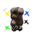 いくらのきもち（個別スタンプ：7）