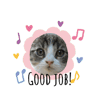 愛猫ラッキー＆エリー Vol.2（個別スタンプ：3）