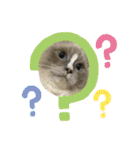 愛猫ラッキー＆エリー Vol.2（個別スタンプ：10）