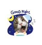 愛猫ラッキー＆エリー Vol.2（個別スタンプ：18）