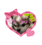 プッティー2（個別スタンプ：7）
