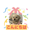 ゆずちゃんルーム2（個別スタンプ：1）