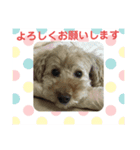 ゆずちゃんルーム2（個別スタンプ：7）