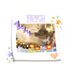 ウチのマリーたん≦^•ᴥ•^≧②（個別スタンプ：2）
