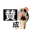 ろんちゃん1（個別スタンプ：5）