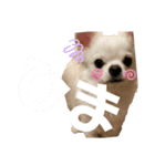 ろんちゃん1（個別スタンプ：7）