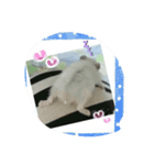 hironko0117（個別スタンプ：3）