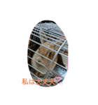 hironko0117（個別スタンプ：6）