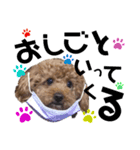 癒しの愛犬＊2（個別スタンプ：8）