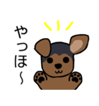 耳おりヨーキー 日常会話（個別スタンプ：5）