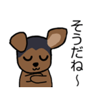 耳おりヨーキー 日常会話（個別スタンプ：13）