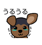 耳おりヨーキー 日常会話（個別スタンプ：14）