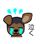 耳おりヨーキー 日常会話（個別スタンプ：15）