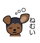 耳おりヨーキー 日常会話（個別スタンプ：17）