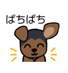 耳おりヨーキー 日常会話（個別スタンプ：25）