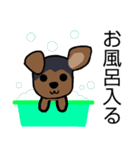 耳おりヨーキー 日常会話（個別スタンプ：26）