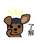 耳おりヨーキー 日常会話（個別スタンプ：28）