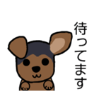 耳おりヨーキー 日常会話（個別スタンプ：33）
