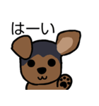 耳おりヨーキー 日常会話（個別スタンプ：40）