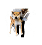 世界のかいぴー4！（個別スタンプ：5）