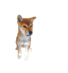世界のかいぴー4！（個別スタンプ：32）