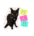 黒ねこ《リオ♡キロ》（個別スタンプ：10）