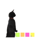 黒ねこ《リオ♡キロ》（個別スタンプ：13）