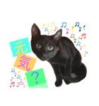 黒ねこ《リオ♡キロ》（個別スタンプ：15）